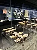 Museum displays