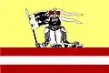 Flag of Čistá