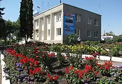 The administration of rural settlement in Dmitryashevka