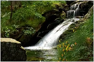 A small fall