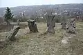 Cossack Cemetery in the forest