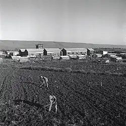 Beit Hillel 1944