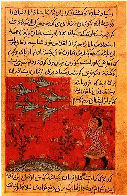 A man with birds
