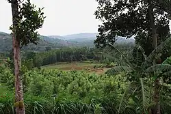 Pasarikombai