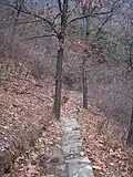 Trails on Yaji Mountain, 2009