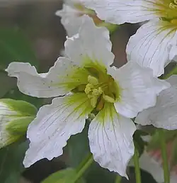 ""