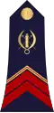 Brigadier (Burkina Faso Ground Forces)[33][34]