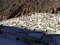 Maras