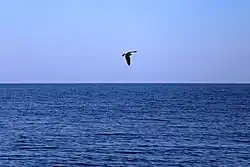 Lake Ladoga, Russia