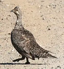 {{{image2-alt}}}