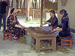 Samarkandi paper mill workers peeling mulberry bark. In background, drying bark