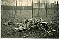 Postcard of the 1 Königlich Sächsische Maschinengewehr-Abteilung Nr. 12 (Royal Saxon Machine Gun Detachment No. 12) with an MG 01 in Dresden, 1908.