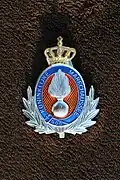 Beret badge