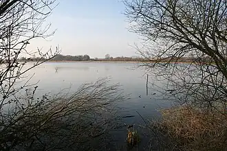 The Harchies Marshes