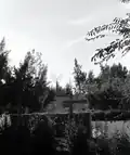 Neot Mordechai, 1963