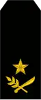 General de brigada (Nicaraguan Army)[39]