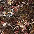 Detail of textile from dress