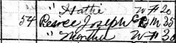 Pierce listed as Chinese on the 1880 census.