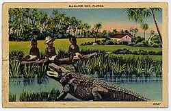 Illustration of a swampy scene in Florida; three young Black children are seated on a log across a small pool of water from an alligator displaying its open mouth. The middle child wears a broad-brimmed hat. In the background are palm trees and a cabin next to open fields. The top of the postcard reads "Alligator Bait, Florida".