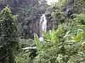Scenic nature