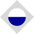 A two tone circular organizational shape inside a diamond