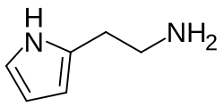 2-Pyrrolylethylamine​​​