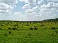 Landscape around Hoogersmilde