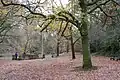 Park in winter