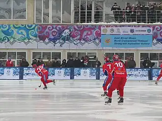The final match between Russia (pictured) and Sweden.