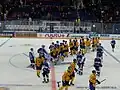 After the match between Sweden and Finland