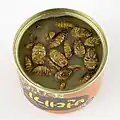 Canned beondegi