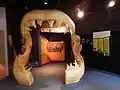 displayed of the jaw of a megalodon