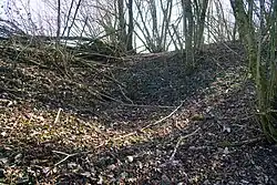 The funnel formed by the north shaft of Charmont.
