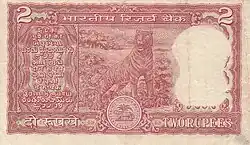 A Tiger
