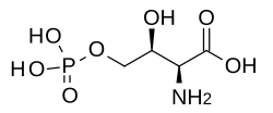 2D representation of the chemical structure of Q60864327.