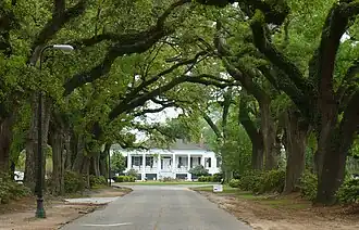 Stewartfield and the Avenue of the Oaks