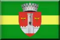 Flag of Vaslui