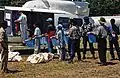 UN officials transporting the ballots