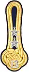 Shoulder mark m/1910 (13 = Dalarna Regiment)
