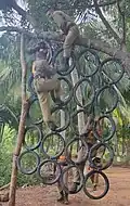 Glimpse of Training