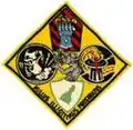 ATG-181 insignia