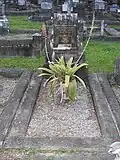 Grave plot (2021).