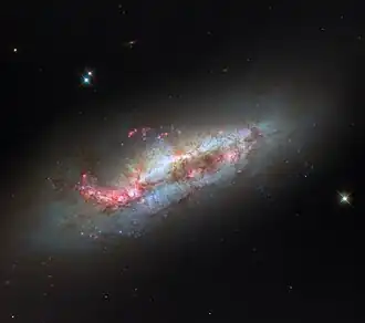 A spiral galaxy, tilted away so that it is seen mostly from the edge. The disc of the galaxy glows blue from its centre, due to younger stars in the spiral arms. There are large and small patches of gas, glowing in red and pink colours, where new stars are forming. Webs of dark dust are spread over the disc. The glow of the disc fades into a dark background, with a couple of stars.