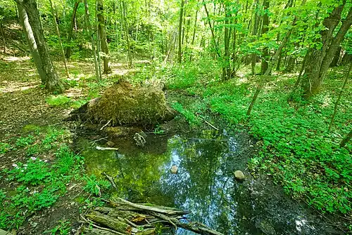 Wet area