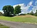 Adjacent to motte an ancient oak tree (with a TPO)