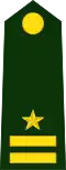 Junior Captain