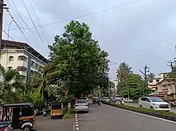 Agnes-Nanthoor Road