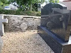 A disc-shaped stele