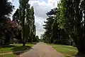 View of Albert Park with the memorial to Prince Albert in the distance