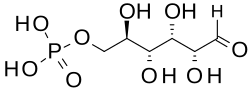 2D representation of the chemical structure of Q32778969.